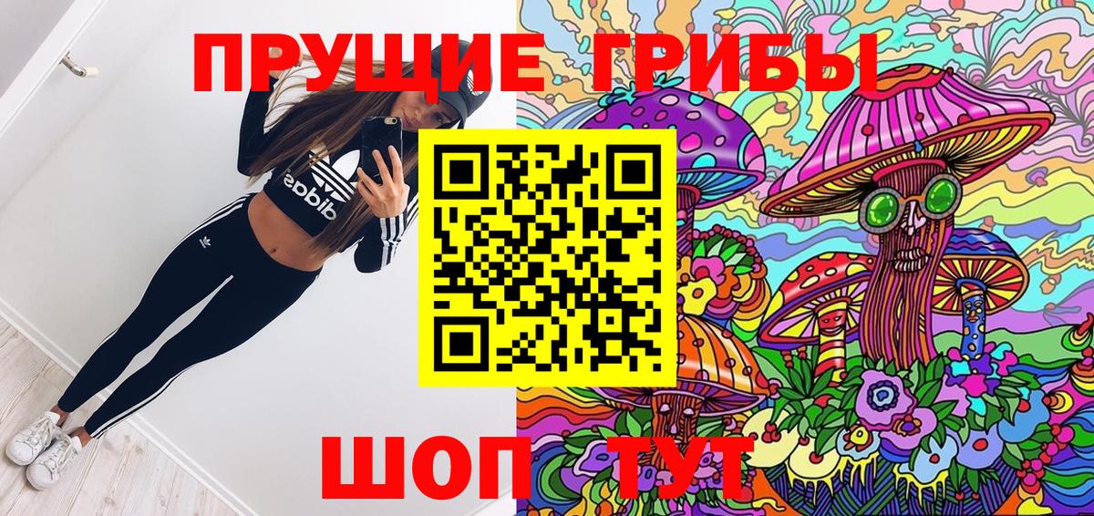 Гудермес  Псилоцибиновые грибы MAGIC MUSHROOMS  цены   Вход с VPN 
